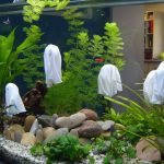 Les fantômes de l'aquarium
