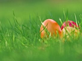 Chasse aux œufs et marché de Pâques