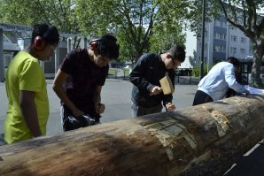 Reprise des ateliers sculpture du tronc