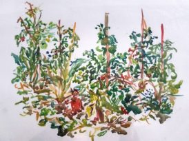 Exposition d’aquarelles « Le jardin merveilleux » par Anne Schwindenhammer